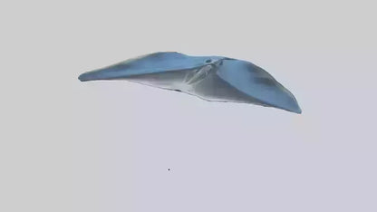Manta Ray gliding underwater model VR / AR / low-poly