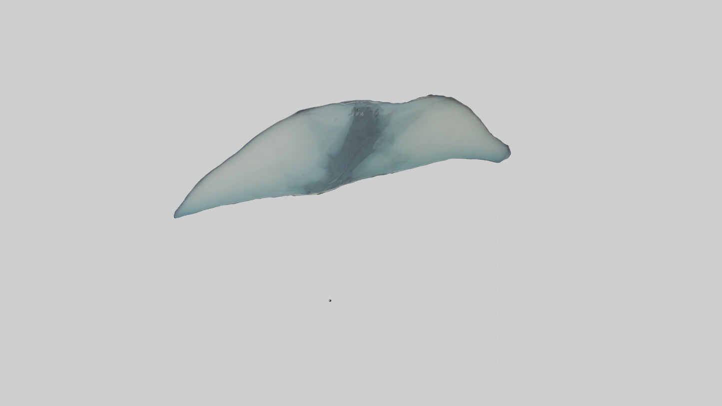 Manta Ray gliding underwater model VR / AR / low-poly