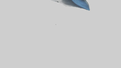Manta Ray gliding underwater model VR / AR / low-poly