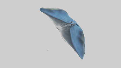 Manta Ray gliding underwater model VR / AR / low-poly