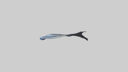 3D model Manta Ray swimming model VR / AR / low-poly