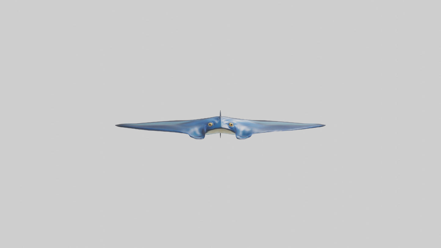 3D model Manta Ray swimming model VR / AR / low-poly