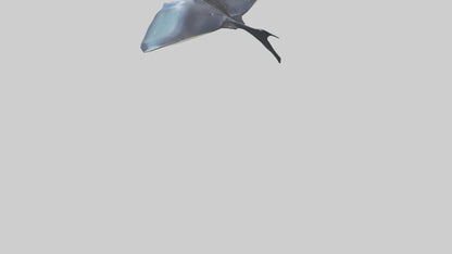 3D model Manta Ray swimming model VR / AR / low-poly