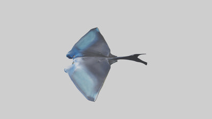 3D model Manta Ray swimming model VR / AR / low-poly