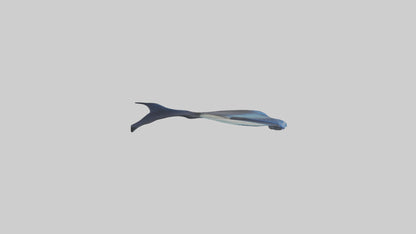 3D model Manta Ray swimming model VR / AR / low-poly