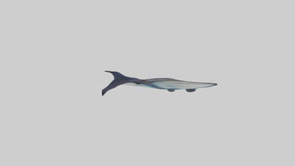 3D model Manta Ray swimming model VR / AR / low-poly