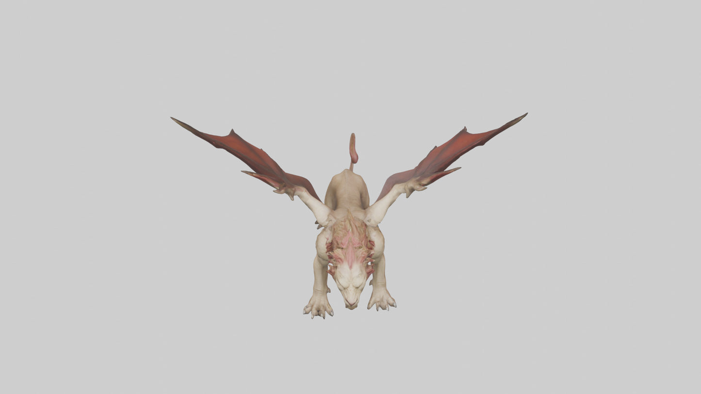 3D model Manticore model VR / AR / low-poly