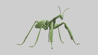 3D model Mantis Legs Model VR / AR / low-poly