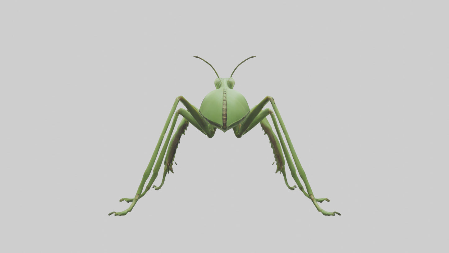3D model Mantis Legs Model VR / AR / low-poly