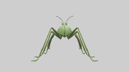 3D model Mantis Legs Model VR / AR / low-poly