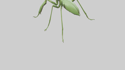 3D model Mantis Legs Model VR / AR / low-poly