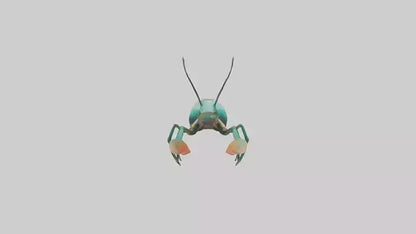 3D model Mantis Shrimp hiding model VR / AR / low-poly
