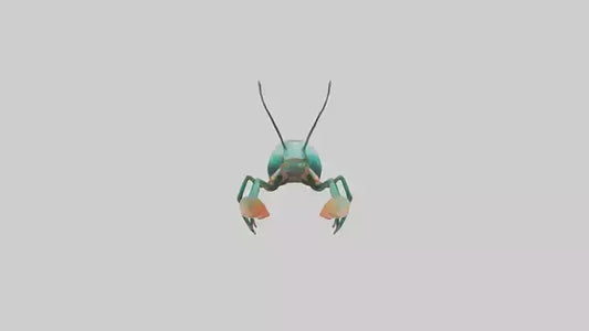 3D model Mantis Shrimp hiding model VR / AR / low-poly
