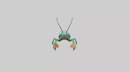 3D model Mantis Shrimp hiding model VR / AR / low-poly