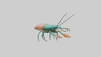 3D model Mantis Shrimp hiding model VR / AR / low-poly