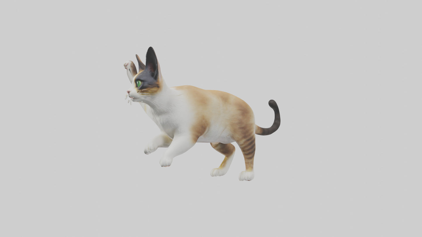 3D model Manx Cat playing model 3 hands VR / AR / low-poly