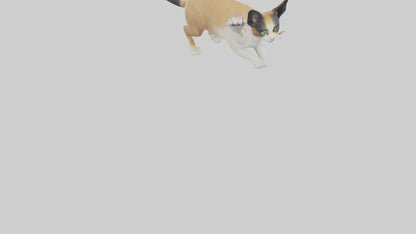 3D model Manx Cat playing model 3 hands VR / AR / low-poly