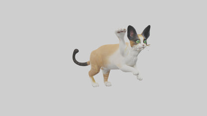 3D model Manx Cat playing model 3 hands VR / AR / low-poly