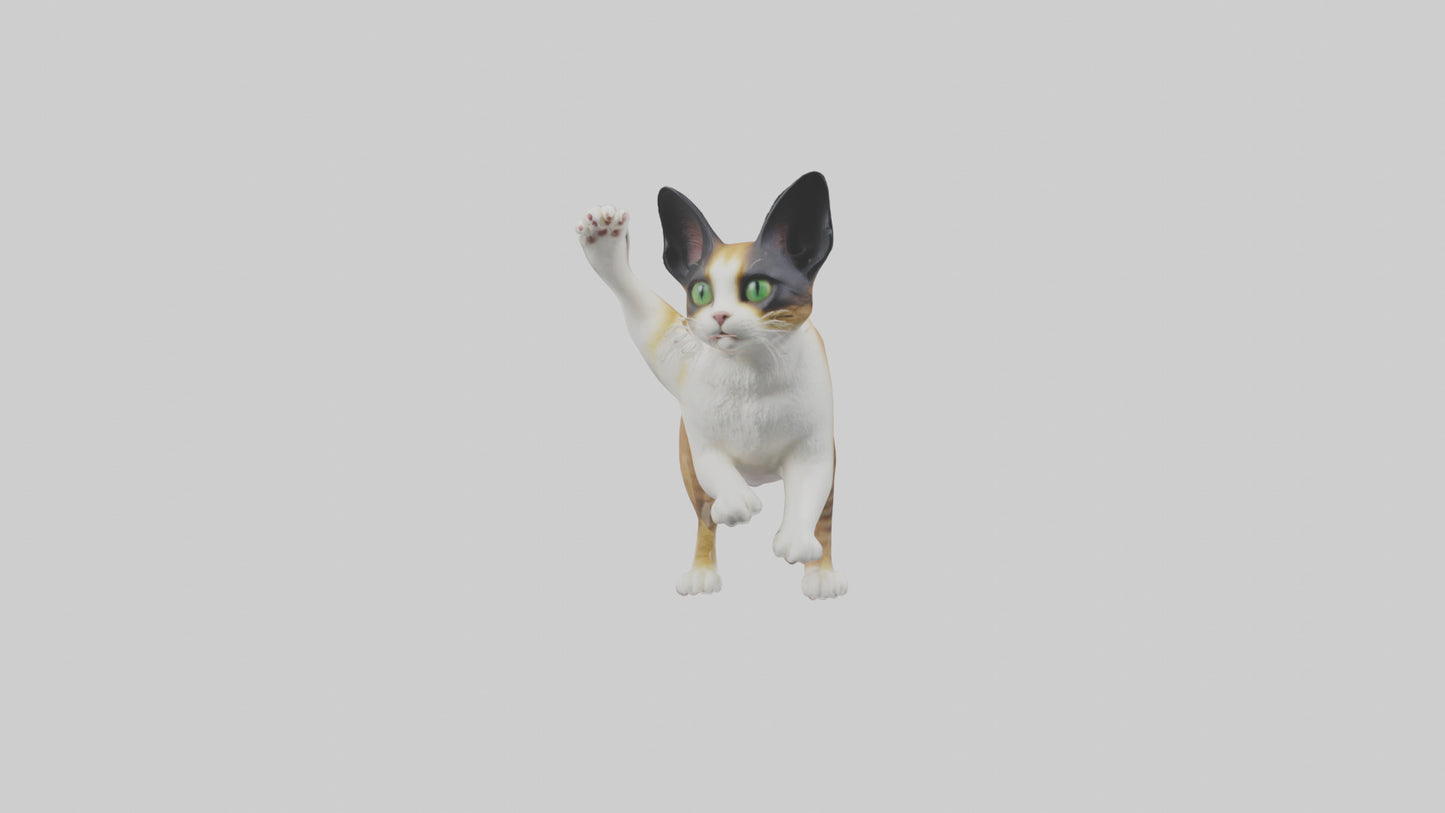 3D model Manx Cat playing model 3 hands VR / AR / low-poly