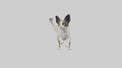 3D model Manx Cat playing model 3 hands VR / AR / low-poly