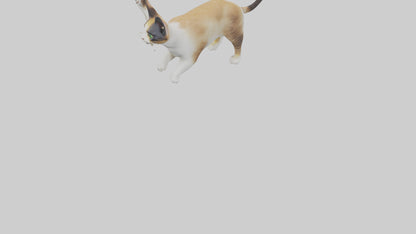 3D model Manx Cat playing model 3 hands VR / AR / low-poly