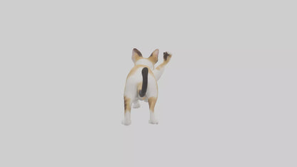 3D model Manx Cat playing model 3 hands VR / AR / low-poly