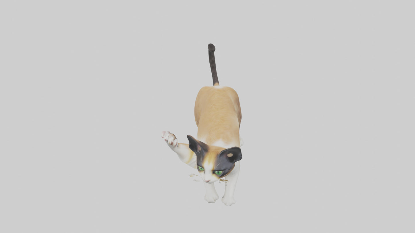 3D model Manx Cat playing model 3 hands VR / AR / low-poly