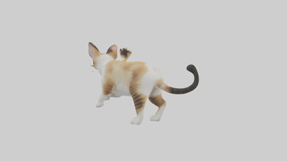 3D model Manx Cat playing model 3 hands VR / AR / low-poly