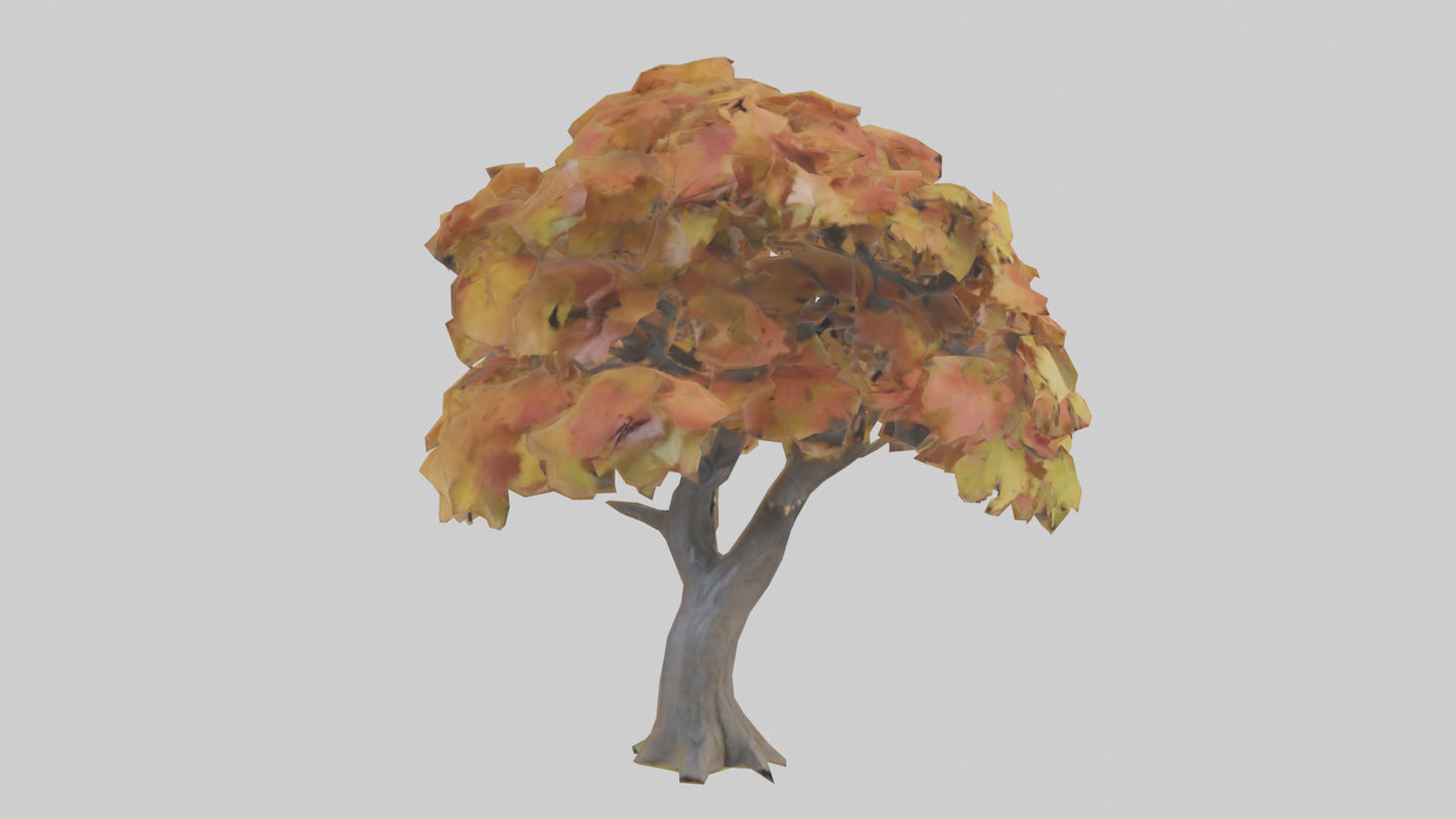 3D model Maple tree model VR / AR / low-poly