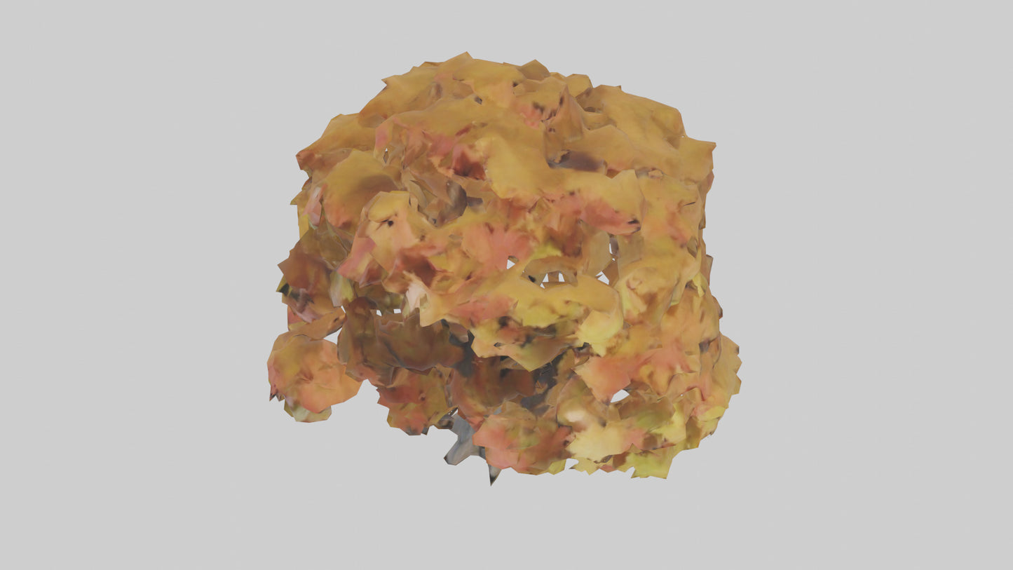 3D model Maple tree model VR / AR / low-poly