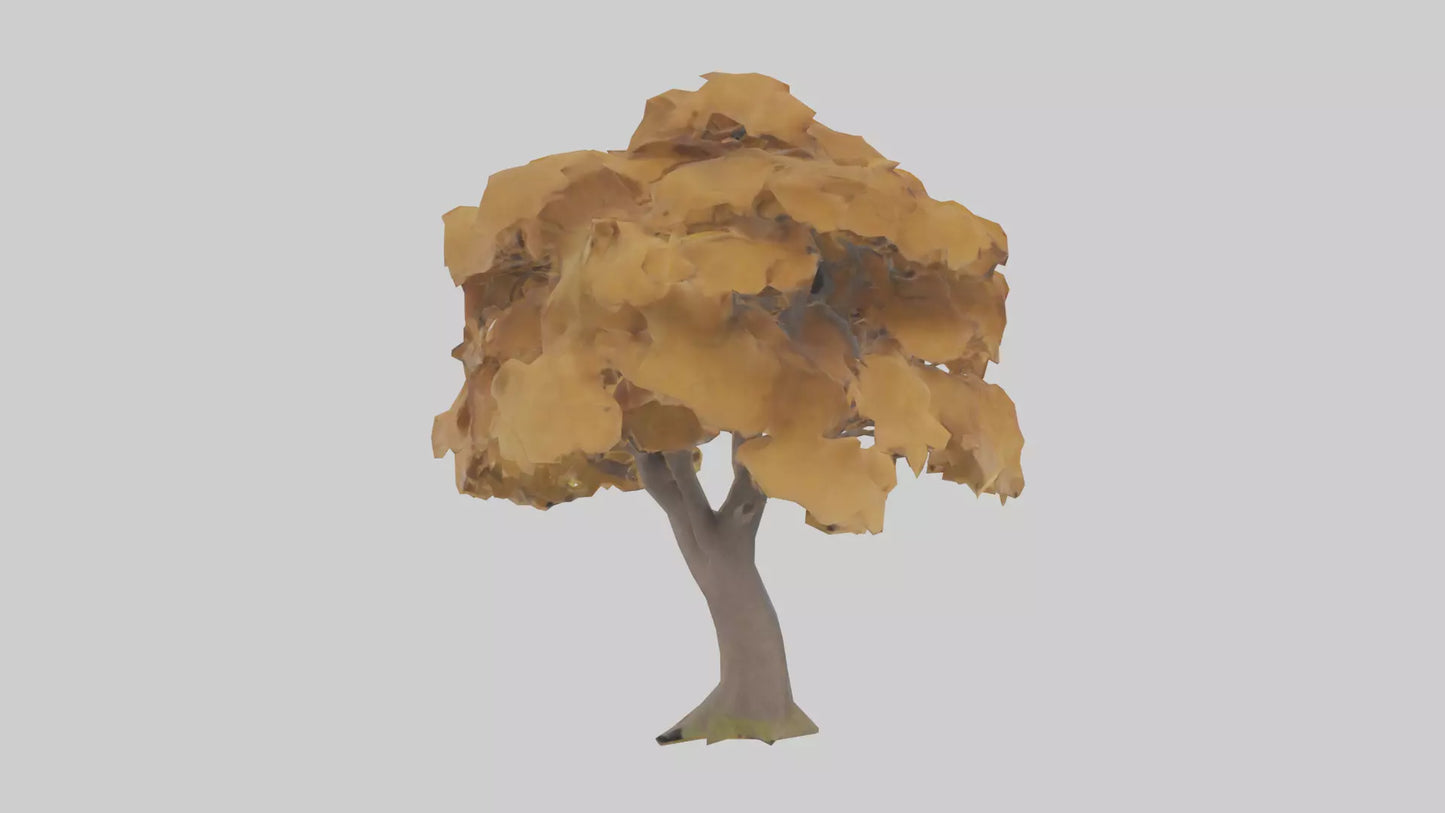 3D model Maple tree model VR / AR / low-poly