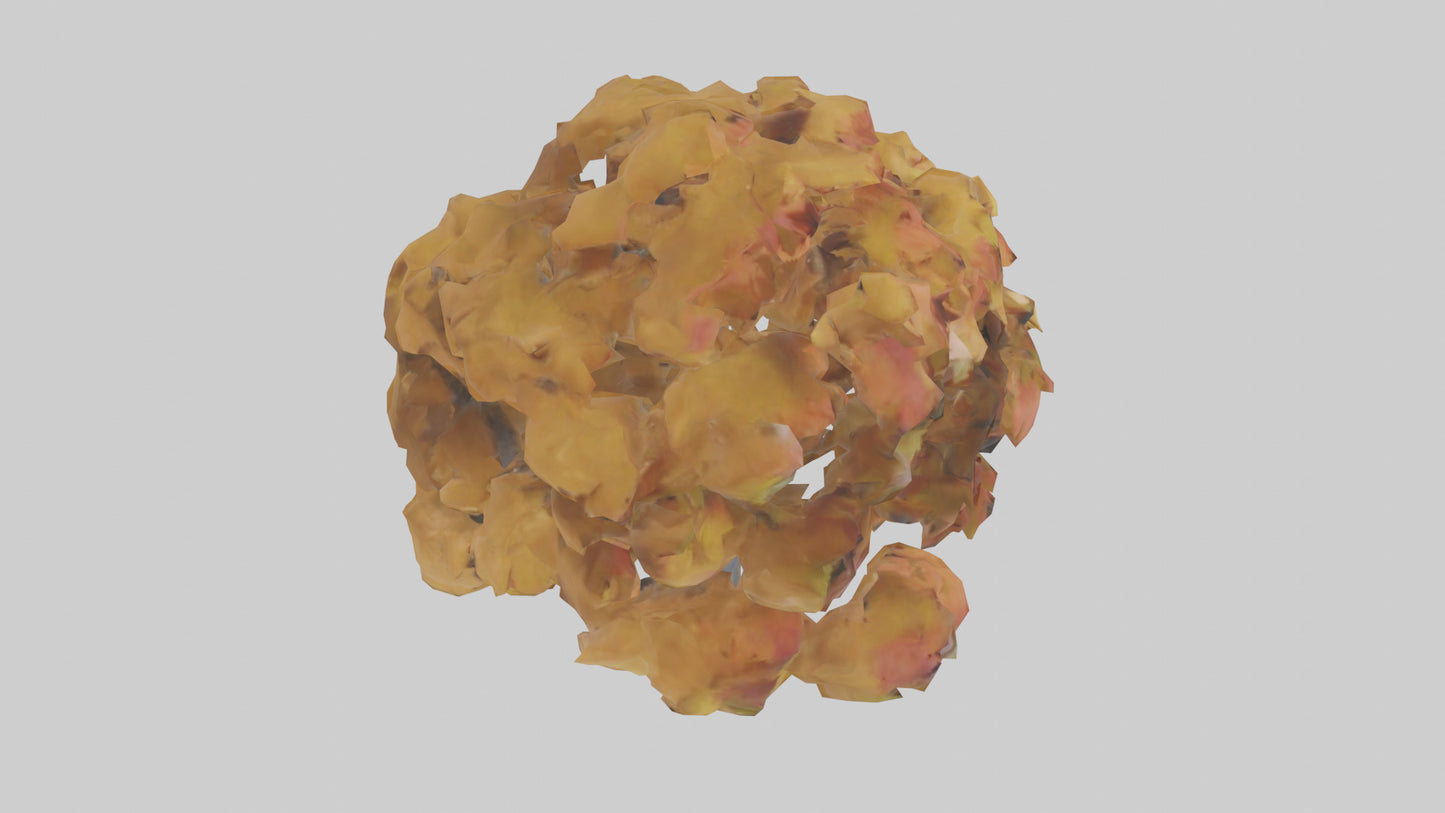 3D model Maple tree model VR / AR / low-poly