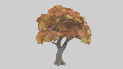 3D model Maple tree model VR / AR / low-poly