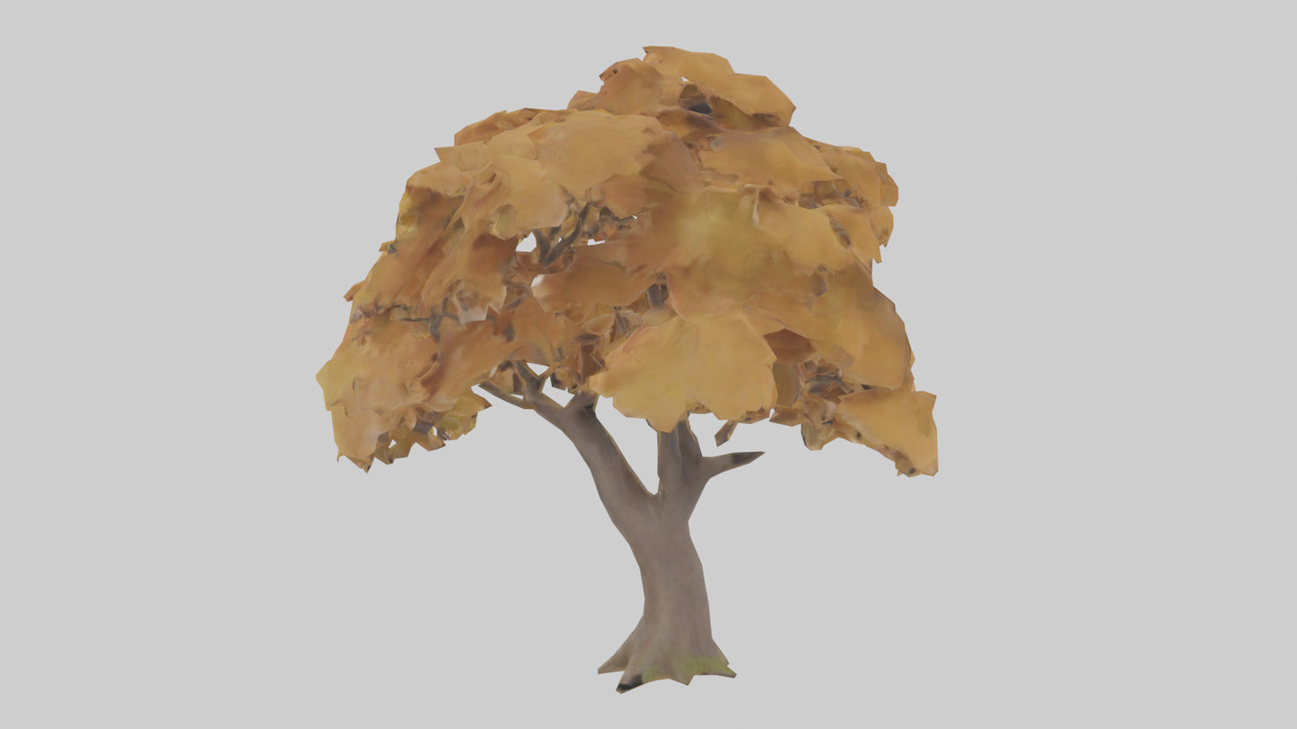 3D model Maple tree model VR / AR / low-poly