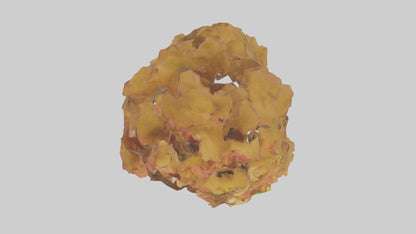 3D model Maple tree model VR / AR / low-poly