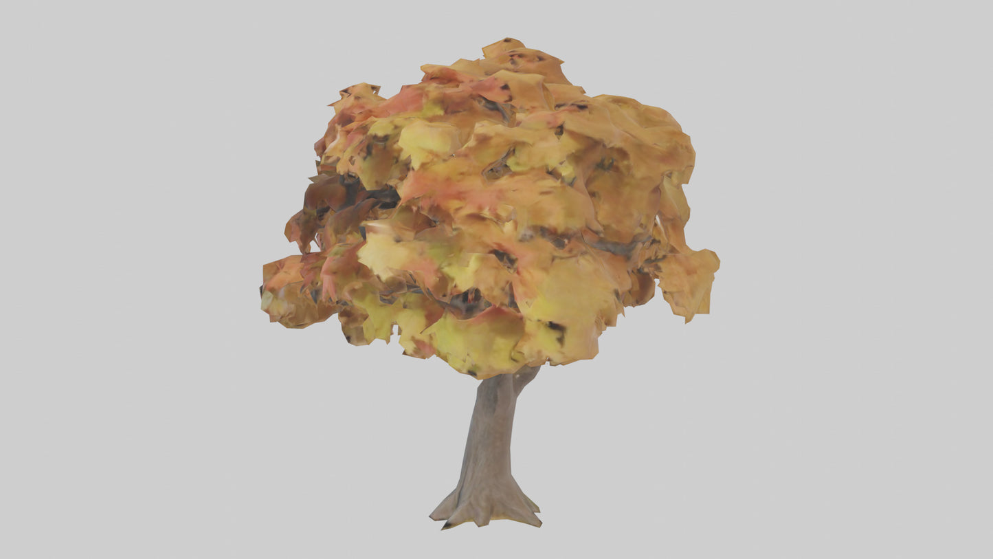 3D model Maple tree model VR / AR / low-poly