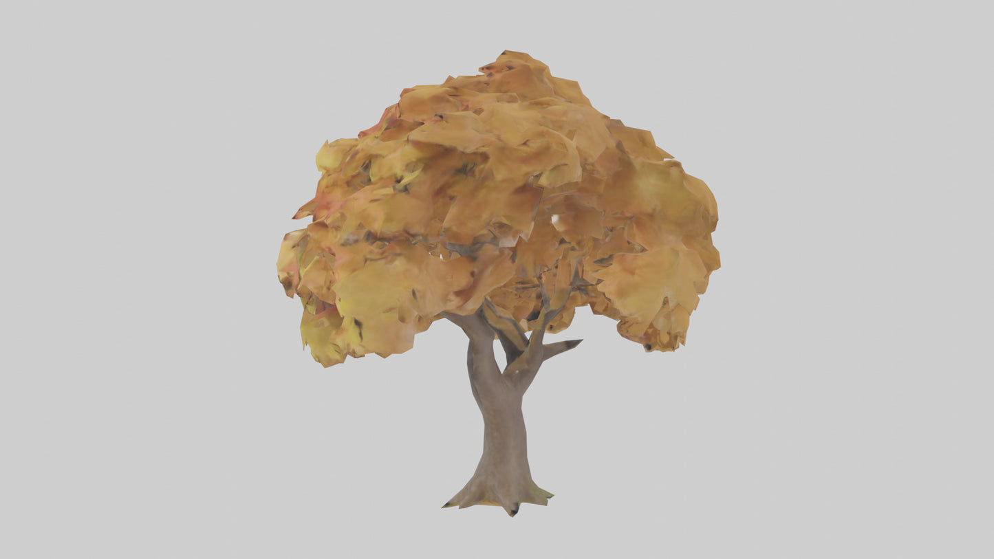 3D model Maple tree model VR / AR / low-poly