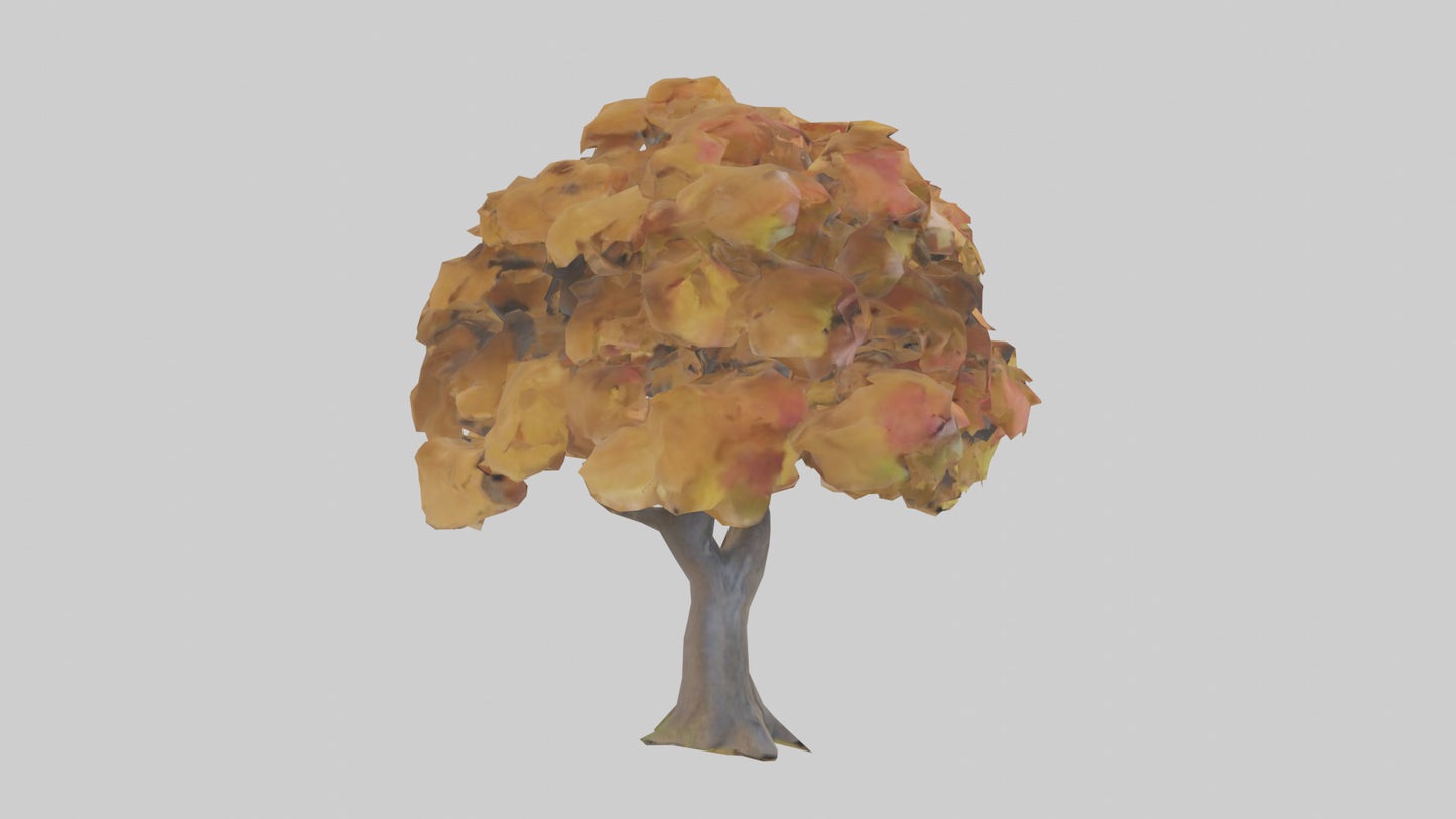 3D model Maple tree model VR / AR / low-poly