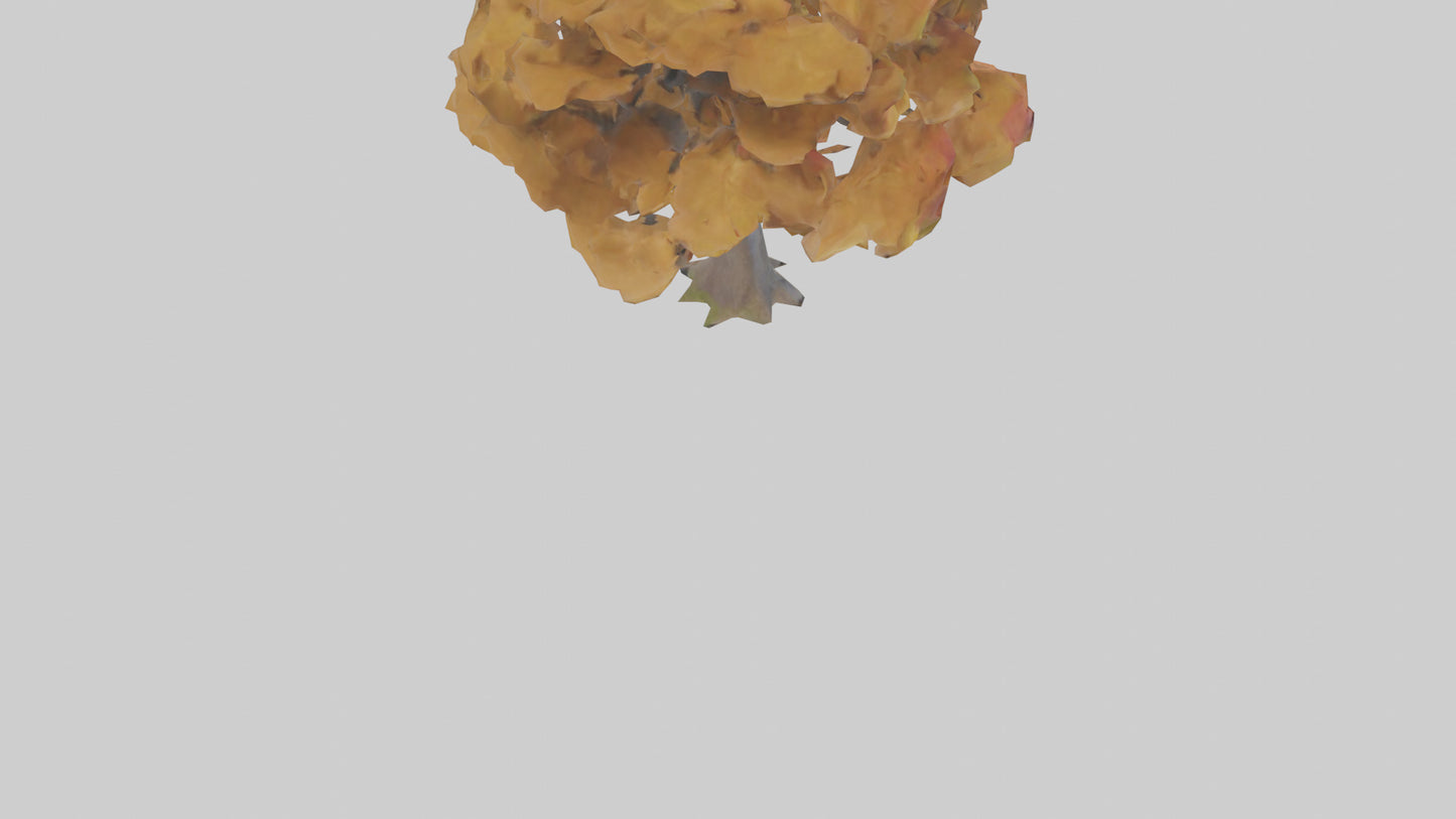 3D model Maple tree model VR / AR / low-poly