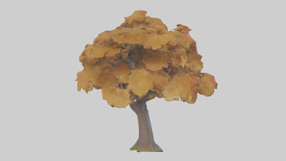 3D model Maple tree model VR / AR / low-poly
