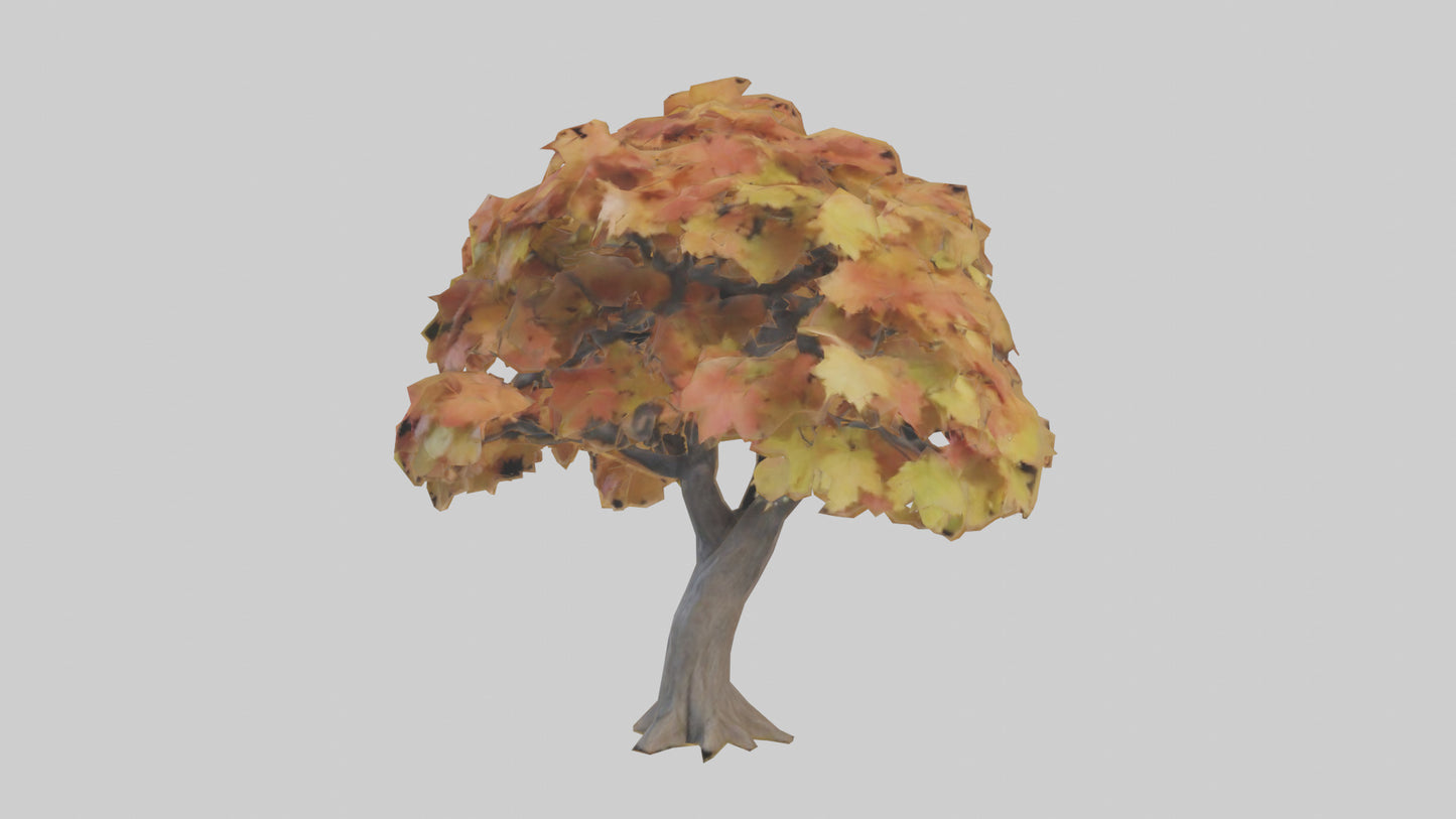 3D model Maple tree model VR / AR / low-poly