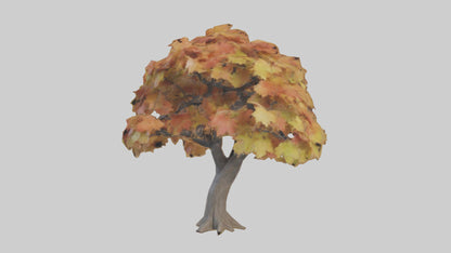 3D model Maple tree model VR / AR / low-poly