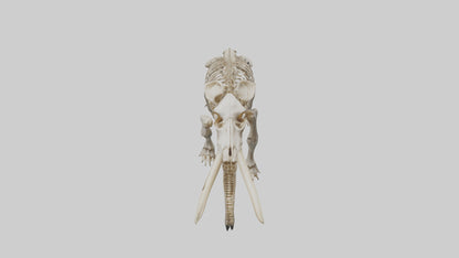 Mastodon Skeleton model VR / AR / low-poly