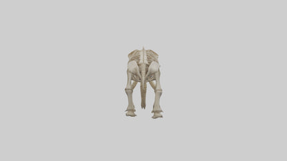 Mastodon Skeleton model VR / AR / low-poly