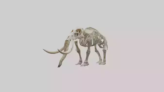 Mastodon Skeleton model VR / AR / low-poly