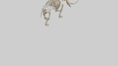 Mastodon Skeleton model VR / AR / low-poly