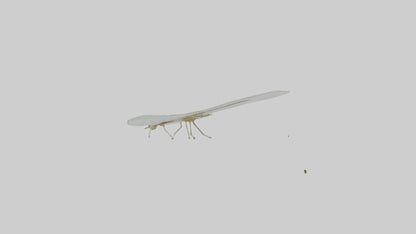 3D model Mayfly perched on leaf model VR / AR / low-poly
