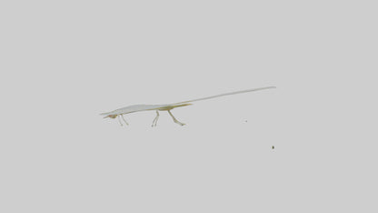 3D model Mayfly perched on leaf model VR / AR / low-poly