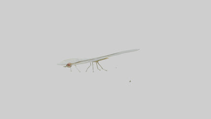 3D model Mayfly perched on leaf model VR / AR / low-poly