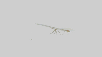 3D model Mayfly perched on leaf model VR / AR / low-poly